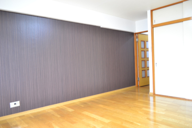 ���r���O�ȊO�̋��� -