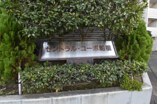 ���̑����n -