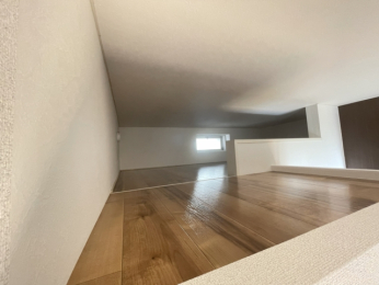 ���̑����� -