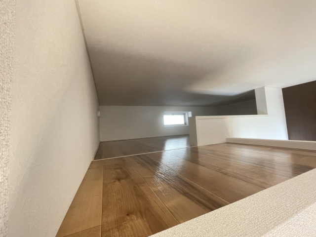 ���̑����� -