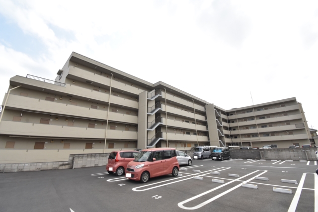 ���n�O�ώʐ^ �}���V�����O��