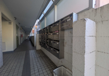 ���̑����p�� -