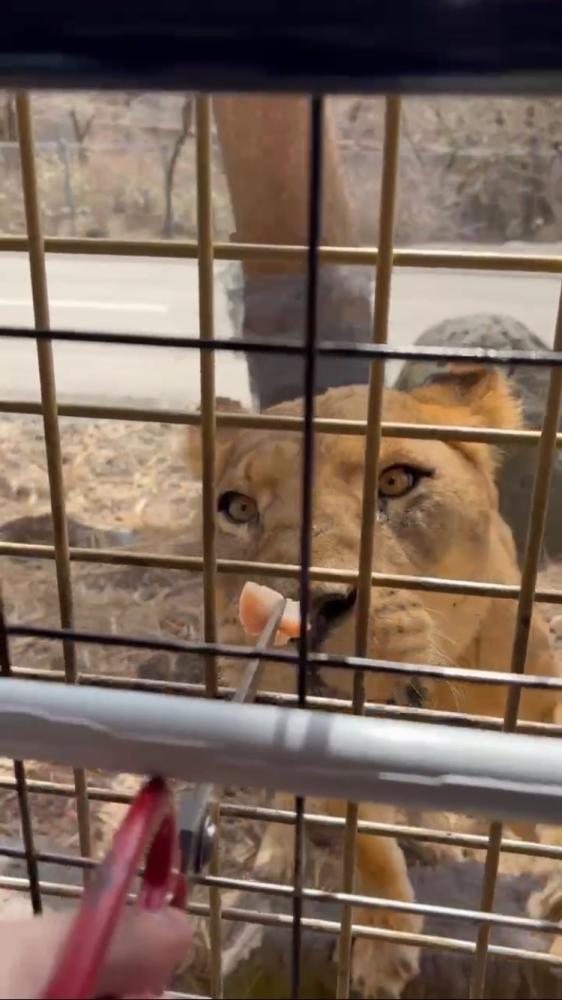 野生と春の訪れを感じるサファリパーク！！