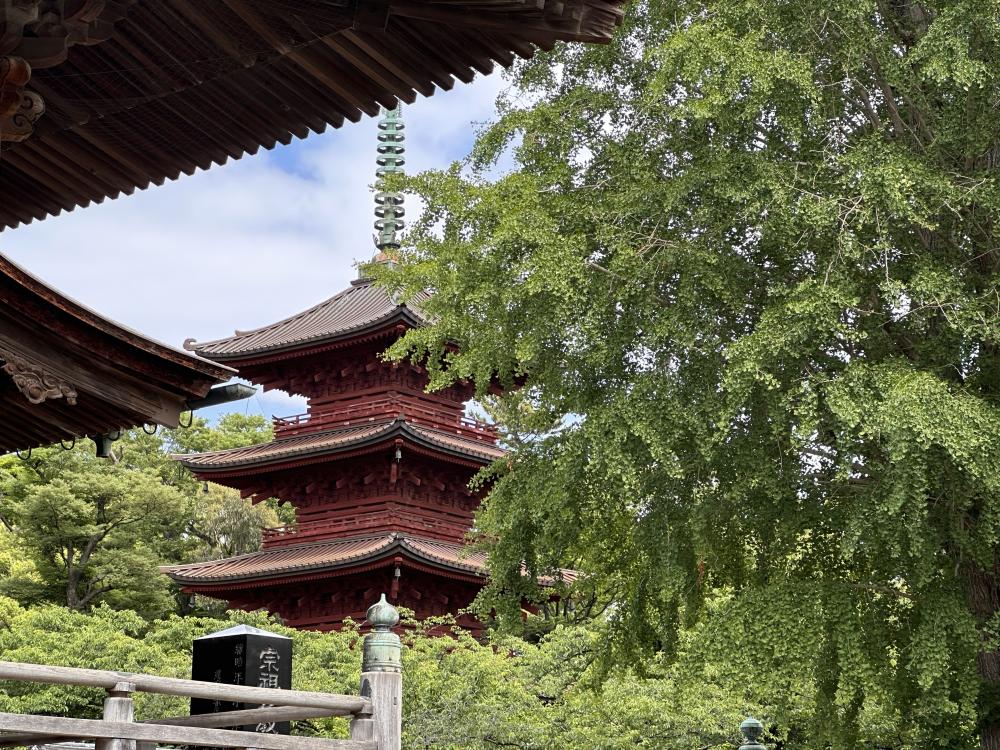下総中山にある日蓮宗の大本山「中山法華経寺」でのんびりお散歩♪